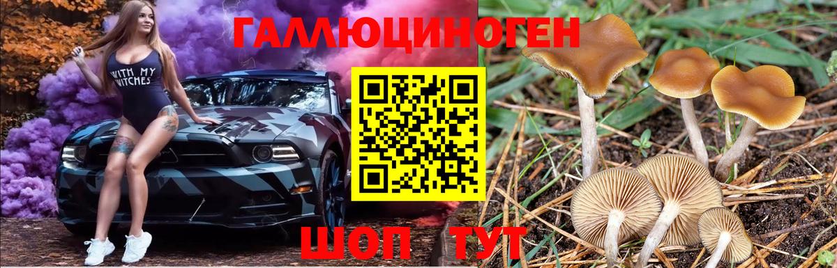 Галлюциногенные грибы Psilocybine cubensis Иваново
